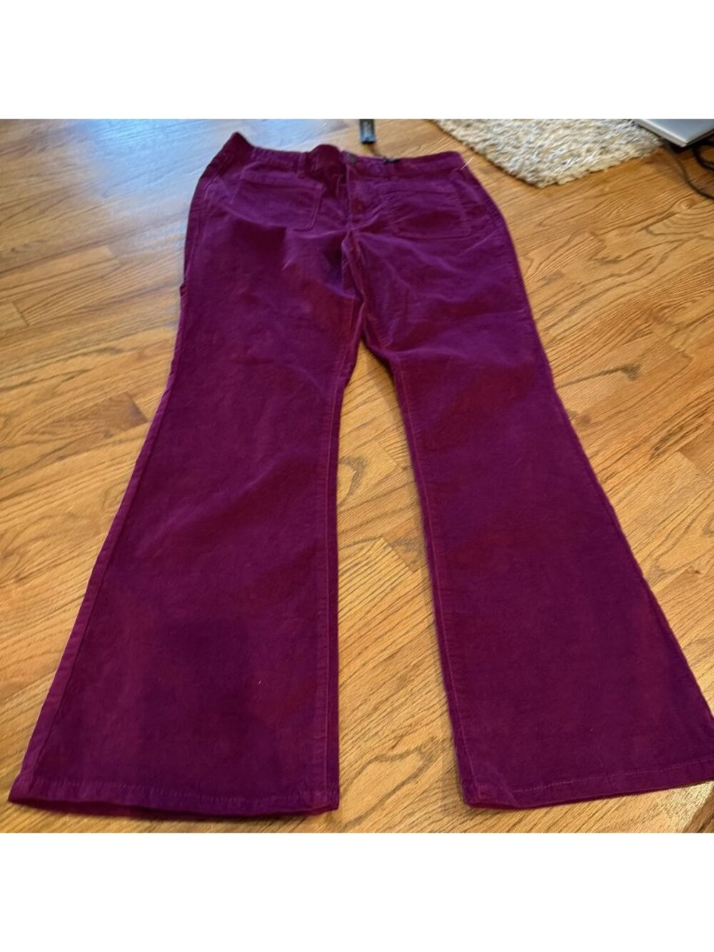 JONES & CO JONES NEW YORK WOMENS PURPLE FLARE VELVET PANTS NEW SIZE 14